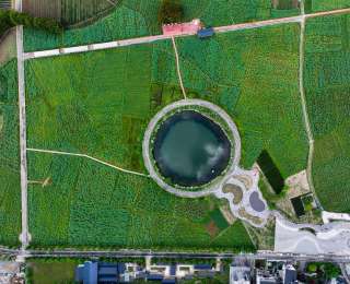 光谷恩施“一”系列②|一口“观音塘”漫出田园牧歌