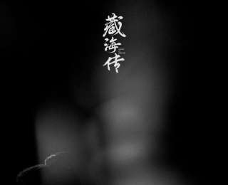 搭建上百个盗版网站，一男子盗播《折腰》《藏海传》等热播影视剧被刑拘