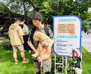 从“养宠痛点”到“治理亮点” 社区宠物治理出新招