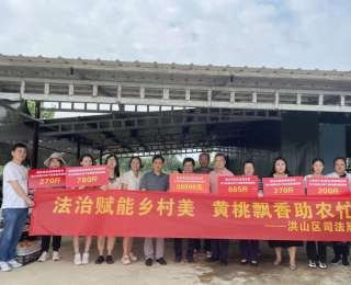 法治赋能乡村美，黄桃飘香助农忙，洪山司法局开展乡村振兴走访和消费帮扶活动