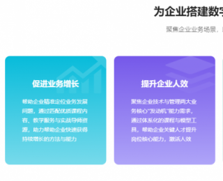 讲真：引领企业数字化转型与人才培养的新篇章