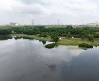 武汉 “四线一口”暴露垃圾基本 “清零”