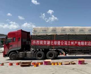 高原夏菜入荆楚，绿健首车30吨兰州蔬菜抢“鲜”售空