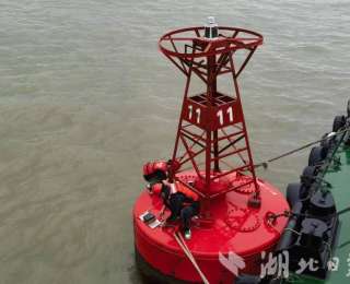 49台超声波接收设备覆盖中华鲟洄游路径 长江流域实现精准追“鲟”！