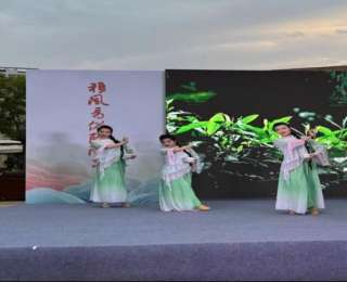 文艺演出+翻牌答题，移风易俗特别活动走进庙山