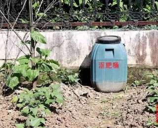 湖北咸安：“小创新”扮靓乡村，人居环境展新颜