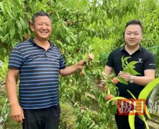 湖北郧西县：新阶层深耕乡土显身手，“星农人”逐梦乡村绽芳华