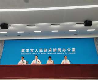 规模占地区生产总值比重超50%，武汉数字经济跃升全国前10