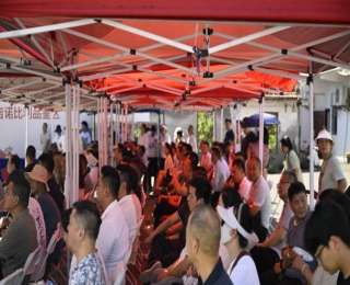 80亩番茄基地喜迎开园，江夏“小青农”团队上门问需纾困