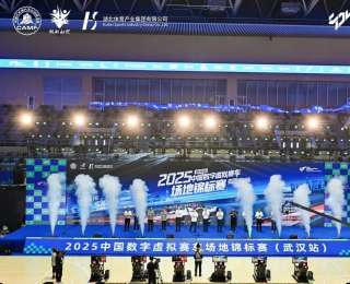2025中国数字虚拟赛车场地锦标赛（武汉站）巅峰对决圆满收官