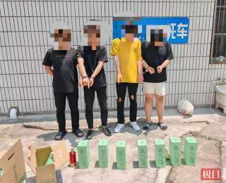 6名嫌疑人“拉车门”开盲盒式盗窃，湖北随州曾都公安雷霆出击将其全部抓获