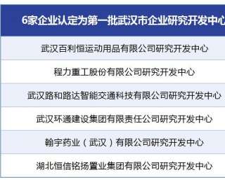 黄陂6家企业入选武汉市企业研究开发中心备案名单