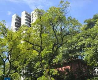 学校附近的出租房迎来换租潮：流转的高中陪读房，流转的故事和青春