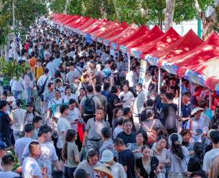 极目新闻高招咨询会：150余所高校参展，“军校天团”集体亮相，超6万人次现场咨询