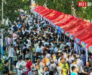 2025极目新闻高招咨询会上，公费师范生、优师计划仍是关注热点