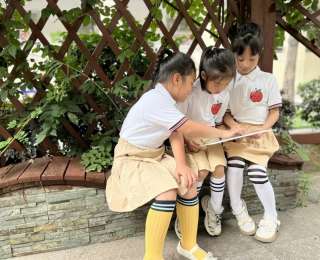 童心探秘，幼小衔接零距离，青山区“家园校”共研科学衔接新路径