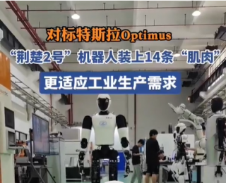 ?“荆楚2号”机器人装上14条“肌肉” 跟特斯拉Optimus数量一致