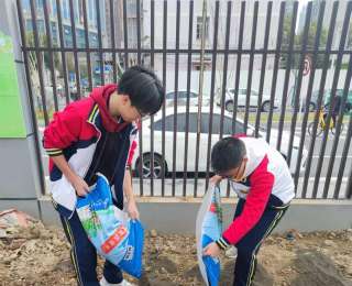 翻土、育苗、收菜……00后学生校内打造班级责任田