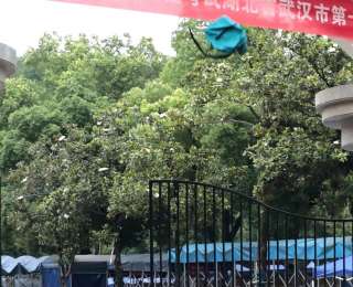 高考后想干什么？听听武汉这群考生们怎么说