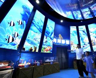 35年探秘深海取得哪些成就？跟着这个展览来了解