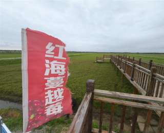 抚远，不远！从太空育种到界江熊园，黑龙江抚远打造旅游新名片