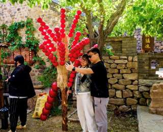 河北唐山迁西县：板栗花开飘香文旅新画卷