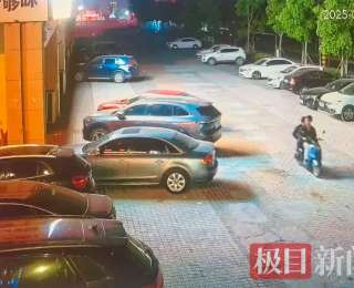 湖北云梦警方破获系列“拉车门”盗窃案，5人落网