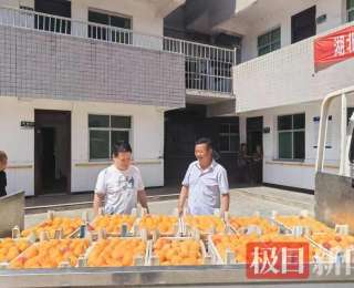 郧西县民企献爱心 情暖敬老院