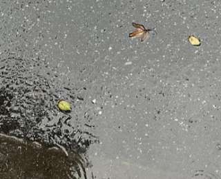 雨热同台！今天江南等地仍有强降雨 华北平原高温暴晒华南闷热感强