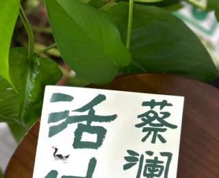 蔡澜已然潇洒《活过》 狮子山下风流了数代的“四大才子”终成往事
