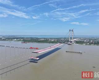 为防止鸟儿误撞，武汉双柳长江大桥将建400米长“防护罩”