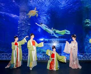 “上山下水”覓清涼，暑期襄陽文旅市場熱力十足