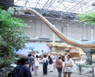 新模式、新場景、新業(yè)態(tài)激蕩新勢能 暑期文旅市場需求強勁、熱潮涌動