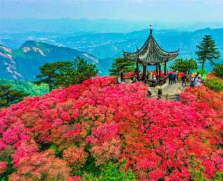 湖北交投打造交旅融合“湖北样板”，绘就“诗与远方”新画卷