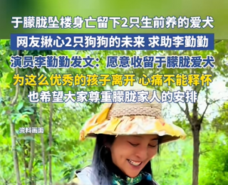 演员李勤勤发文：愿意兜底，收留于朦胧爱犬，为这么优秀的孩子离去惋惜，此前曾收养周海媚的爱犬
