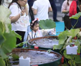 见过古代“能养鱼的桌子”吗？恭王府举办金鱼特展