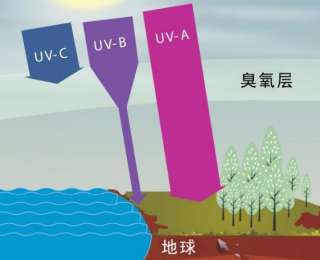 國際保護(hù)臭氧層日來臨，這些知識你知道嗎？