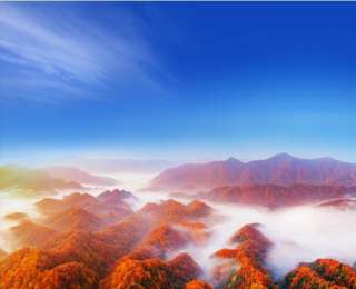 客從遠(yuǎn)方來，AI上光霧紅！四川巴中光霧山向湖北游客發(fā)出浪漫邀約