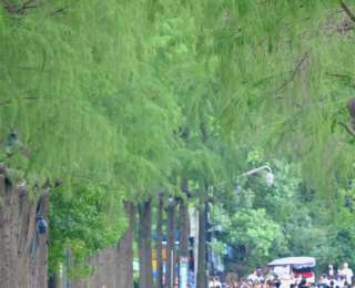 国庆超级黄金周去哪玩？东湖追光日出、月光游船已就位！