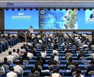 2025全球滨海论坛在江苏盐城举行，分享生态优先与绿色发展经验