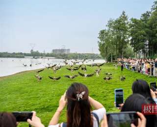 实景演出、AI机器狗吸引游客，湖北假期旅游持续升温