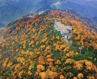 错峰游正当时！四川多个景区官宣免门票