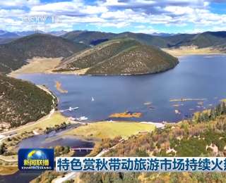 特色赏秋带动旅游市场持续火热