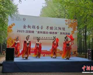 汉景帝阳陵博物院2025年“金秋踏古·银杏季”系列活动启幕