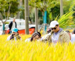 上海新秋文旅融合打造“特色周末版”