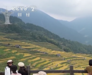 “田园风光+潮流玩法”成文旅融合新亮点 乡村旅游新消费活力十足