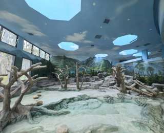 看大熊猫又多一个去处！中国大熊猫保护研究中心绵阳基地即将试运行