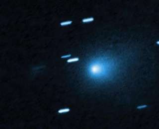 神秘星际访客抵达近日点，12月到近地点 哈佛教授：最好的图像因美国政府“关门”未发布