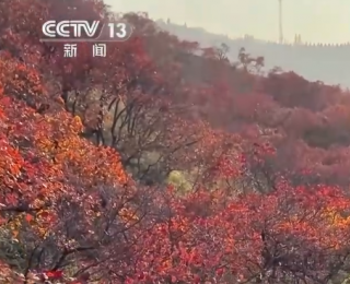 “斑斓秋色+新潮玩法”点燃赏秋游新热力 文旅新消费活力十足