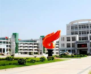 新洲一中“五维课堂”观察：精准“钥匙”开启多元成才路